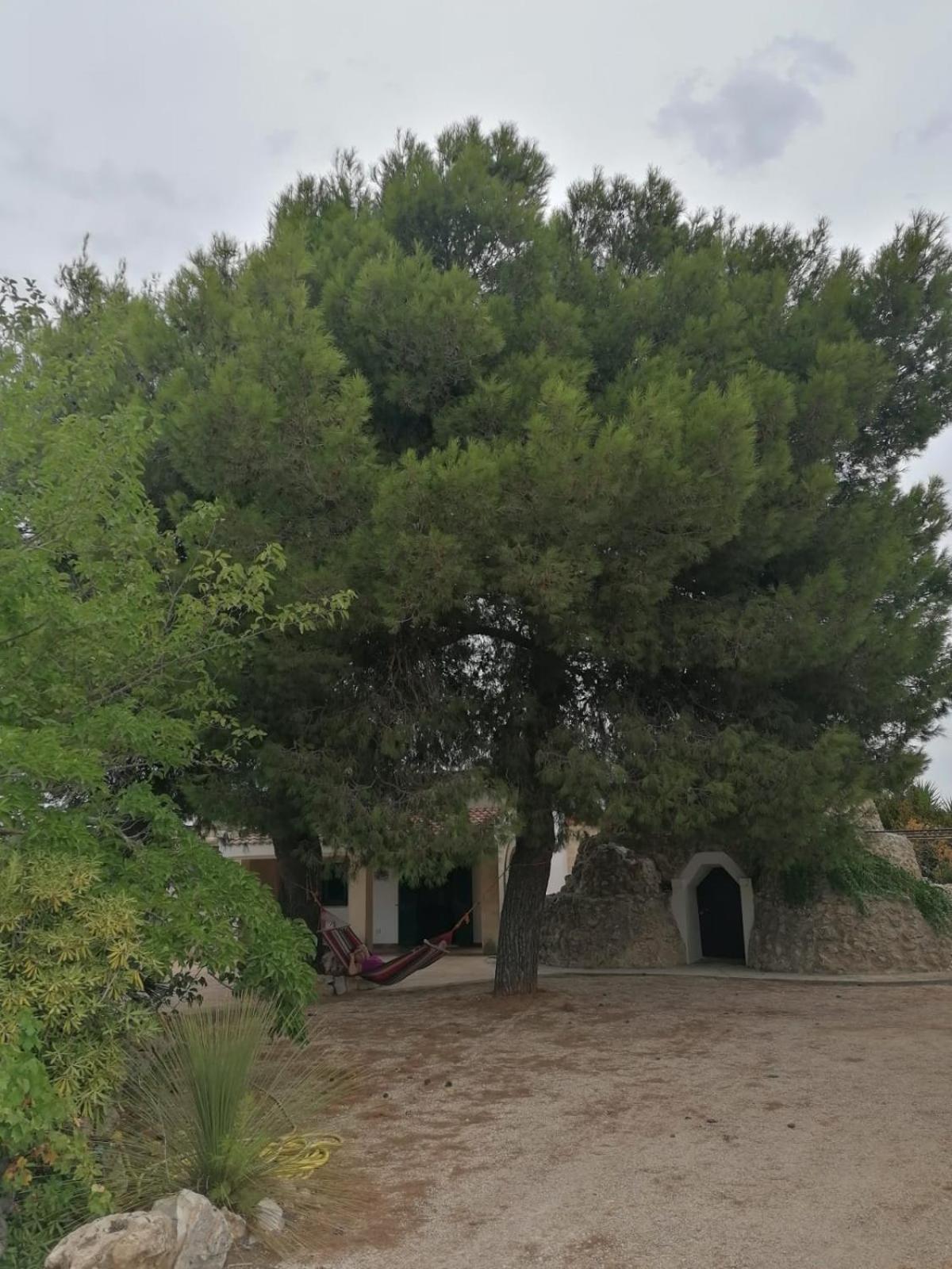 Villa Principe Degli Olivi Maruggio Eksteriør billede